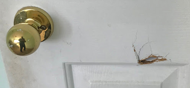 interior door hole repair Fair Oaks