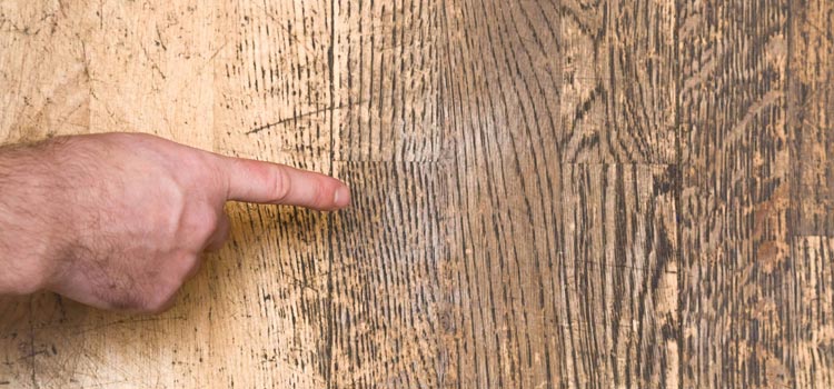 Wood Door Scratch Repair in Fair Oaks